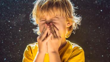 Ácaros, polvo y alergias: cómo nos afecta la suciedad que no vemos